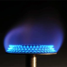 GASEOUS FUEL ESBEE